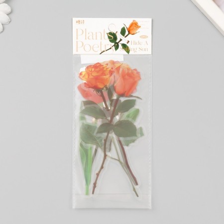 Plastic stickers "Flowers and quotes. Yellow-orange" set 12 pcs 8.5x21.5x0.2 cm-3