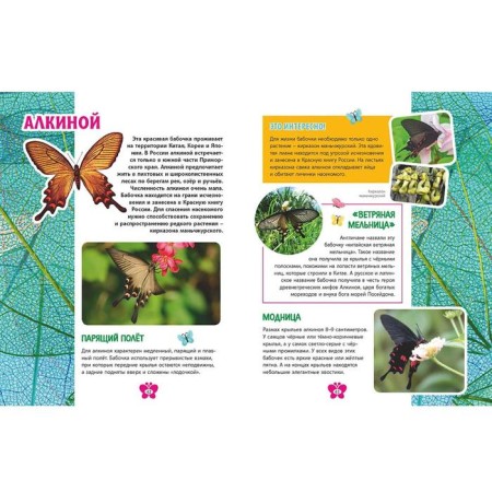 Butterflies. Children's Encyclopedia-7