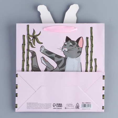 Gift package, packaging, Yoga, 22 x 22 x 10 cm-4