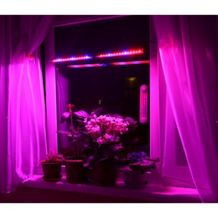 Lamp on the suction cup for plants (seedlings, flowers, etc.) on the windowsill "Shtar" 50cm-5