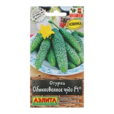 Seeds of cucumber 