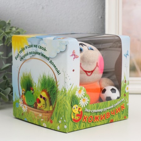 Growing gift Eco -Zhizhivchik "Football" Gift packaging-5