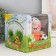Growing gift Eco -Zhizhivchik "Football" Gift packaging