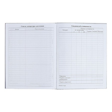 Diary for grades 5-11 "Modern Web. Anonymity", solid cover, matte lamination, selective varnish, 48 sheets-7