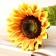 Artificial flower "lush sunflower" 13x55 cm