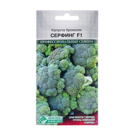 Broccoli cabbage "surfing", F1, 5 pcs
