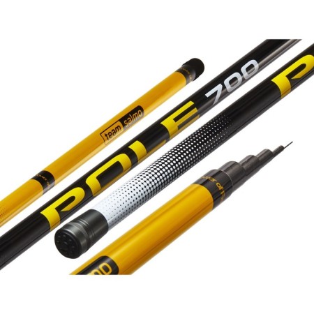 The float rod without rings Team Salmo T Pole, test 2-12 g, length 7 m.-1