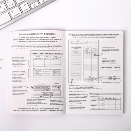 Smart notebook Cashbook A6, 68 sheets I NEED My Money-7