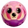 Baby Baby soft "Circle" 6.3cm, in showbox