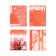 A notebook of 96 sheets in a cage, calligrata "Apricot Crush", cover coated cardboard, twin-lak, offset block, mix