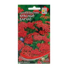 Семена цветов Тысячелистник "Ахиллея" 250 шт.