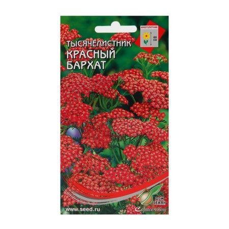 Seeds of flowers yarrow "Achilles" 250 pcs.