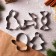 New Year. A set of cookies "winter taste", metal, 10 pcs