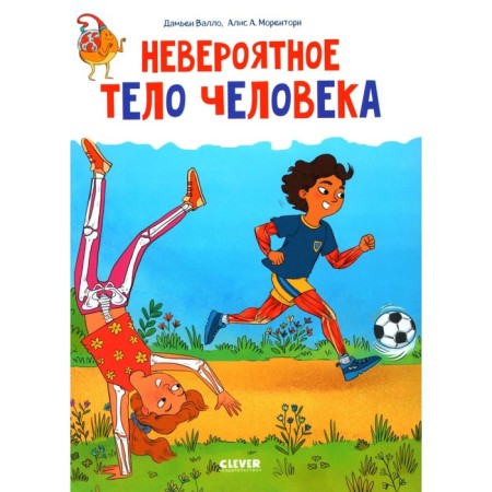Невероятное тело человека. Валло Д.