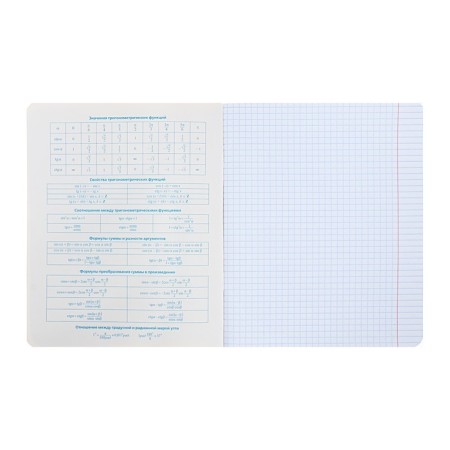 Substantial notebook "Bright color", 48 sheets in the "Algebra" cage, covered cardboard, selective varnish, with reference material-1