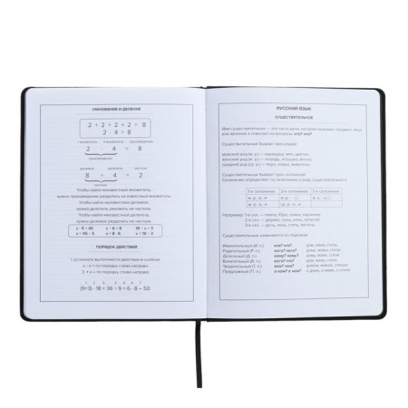 Universal Diary 1-11 grade, 48 sheets "Original", solid cover of artificial leather, embossing foil, liesse, universal cheat sheet, block 80 g/m2-11