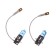 Car Lamp Clearlight Xenonvision, H3, 12 V, 55 W, set 2 pcs