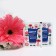 Universal top dressing for chopped flowers Chrysal, 5 g set 300 pcs