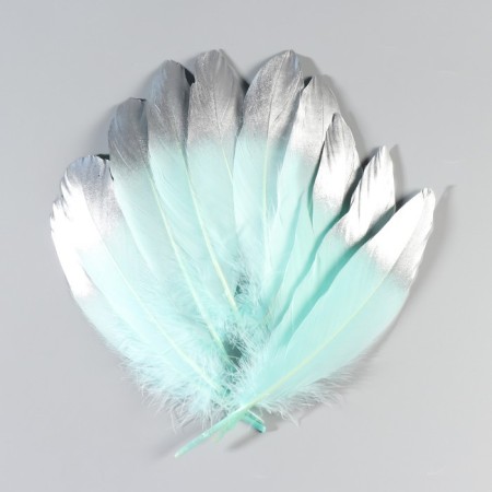 A set of goose feathers 15-20 cm, 10 pcs, mint with silver-1