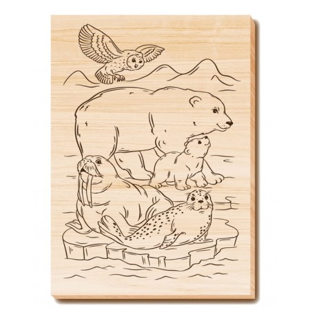 Burning board and painting 1 pc. "On the ice" A4 (envelope)-2