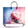 Sandra package, plastic with a plastic pen, 37x34 cm, 90 μm