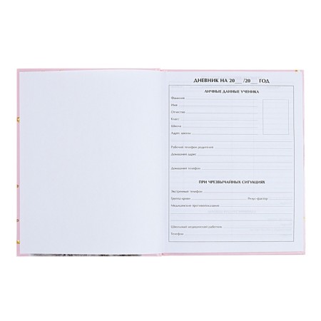 Universal diary for grades 1-11, Kisa, solid cover 7BC, glossy lamination, 40 sheets-4