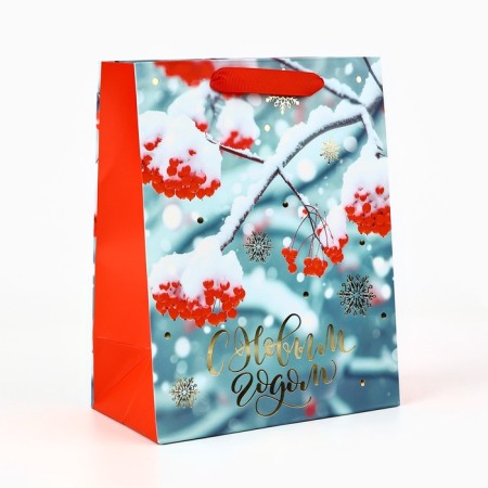 Package Gift New Year Laminated "Rowal", MS 23 x 18 x 10 cm, New Year
