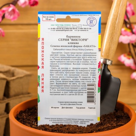 Flowers of Barvinok "Victory" Cranberry, Oh, 10 pcs-3