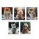Notebook of 48 sheets in the cage "Winter cats", covered cardboard, matte lamination, selective UV-lame, block 60g/m2, mix