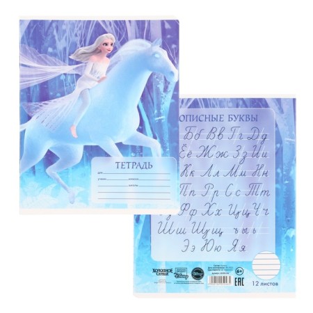 Notebook in a ruler of 12 sheets, 5 types of mix, cover coated cardboard, cold heart-5