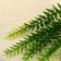 Bouquet "Fern Lush" 22 cm