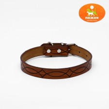 A collar with a base of thermoplastic rubber, embossed, 48 x 2 cm, mix of flowers