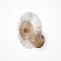 Bra Maytoni Mod007wl-01G, 1HE14, 40W, 15.3x28 cm, color gold