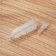 Set of brushes for dishes of Dolyan, 2 pcs: 4 × 23 cm, 2 × 11 cm