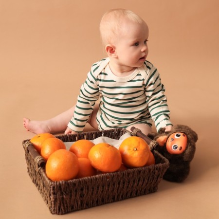 Body with DL. Sleeve Kroshka I oranges p. 68-74, milk-3