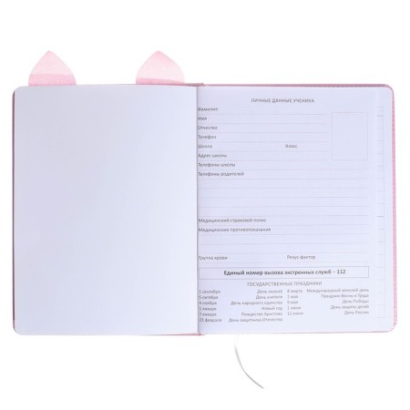 Universal diary for grade 1-11 Cat’s Eyes, hard cover, artificial leather, foam rubber, liesse, 80 g/m2-3