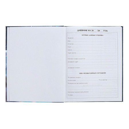 Diary for grades 1-4 "Fluffy Friends. Wolf's Wolf", solid cover, glossy lamination, 48 sheets-3