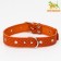 Collar leather embossed single-layer, dimensionless, 64 x 3.5 cm, Osh 31-60 cm, red