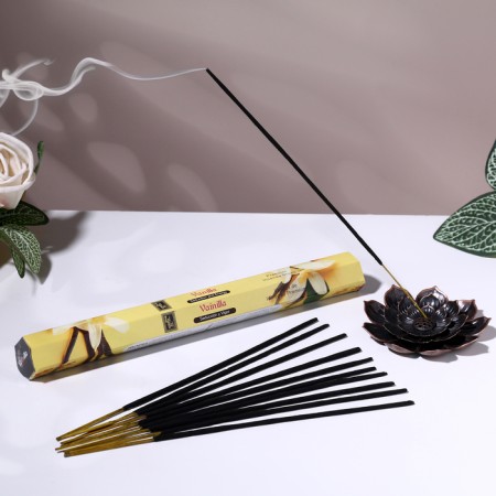 Incense hem "Vanilla. Vanilla", 20 wands in packaging, hexagon
