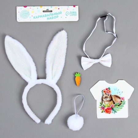 The carnival costume "Cutie" thermonacleka, rim, butterfly, brooch, tail, mix-1