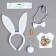 The carnival costume "Cutie" thermonacleka, rim, butterfly, brooch, tail, mix