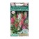 Flower seeds verbaskum decorative "proud view", 0.1 g