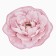 Bathroom mat Etel Bloom with Grace 67x57 ± 2cm, 100% p/e, velor