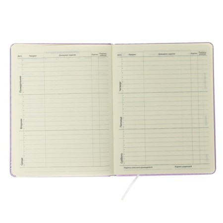 Universal diary for grade 1-11 Inspire, hard cover, artificial leather, foam rubber, lies, 80 g/m2-6