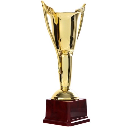 Cup 181b, award figure, gold, plastic stand, 28 × 14 × 7 cm-2