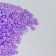 Glass beads 8/0 "matte translucent. Purpur" 10 g
