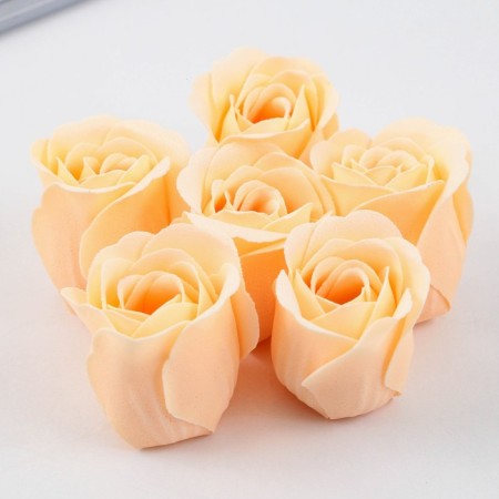 Set: Diary and soap petals "Teacher Source of Wisdom and Knowledge"-8