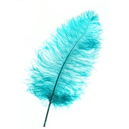 Feather for decor, length: from 45 to 60 cm, emerald color