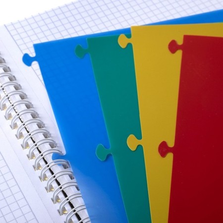 A notebook of 96 sheets in a cage, on the crest "Line Neon", plastic cover, 4 color separator-1