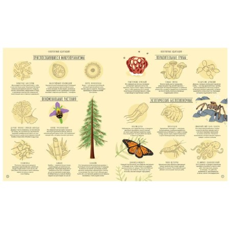 Miracles of evolution. Time trip, Cleabiburne A.-4